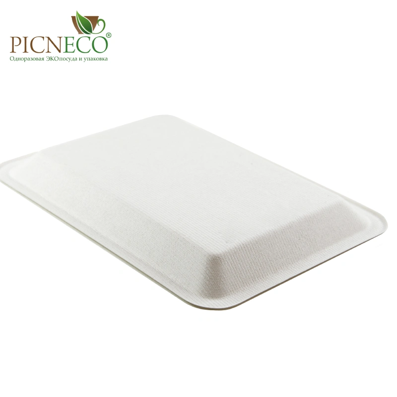 товар Лоток 200x150x16 мм, из сахарного тростника LT025